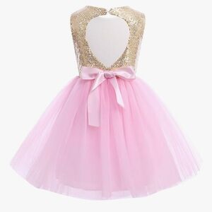 Gold and Pink Dance Costume with Shimmering Bodice and Tulle Skirt